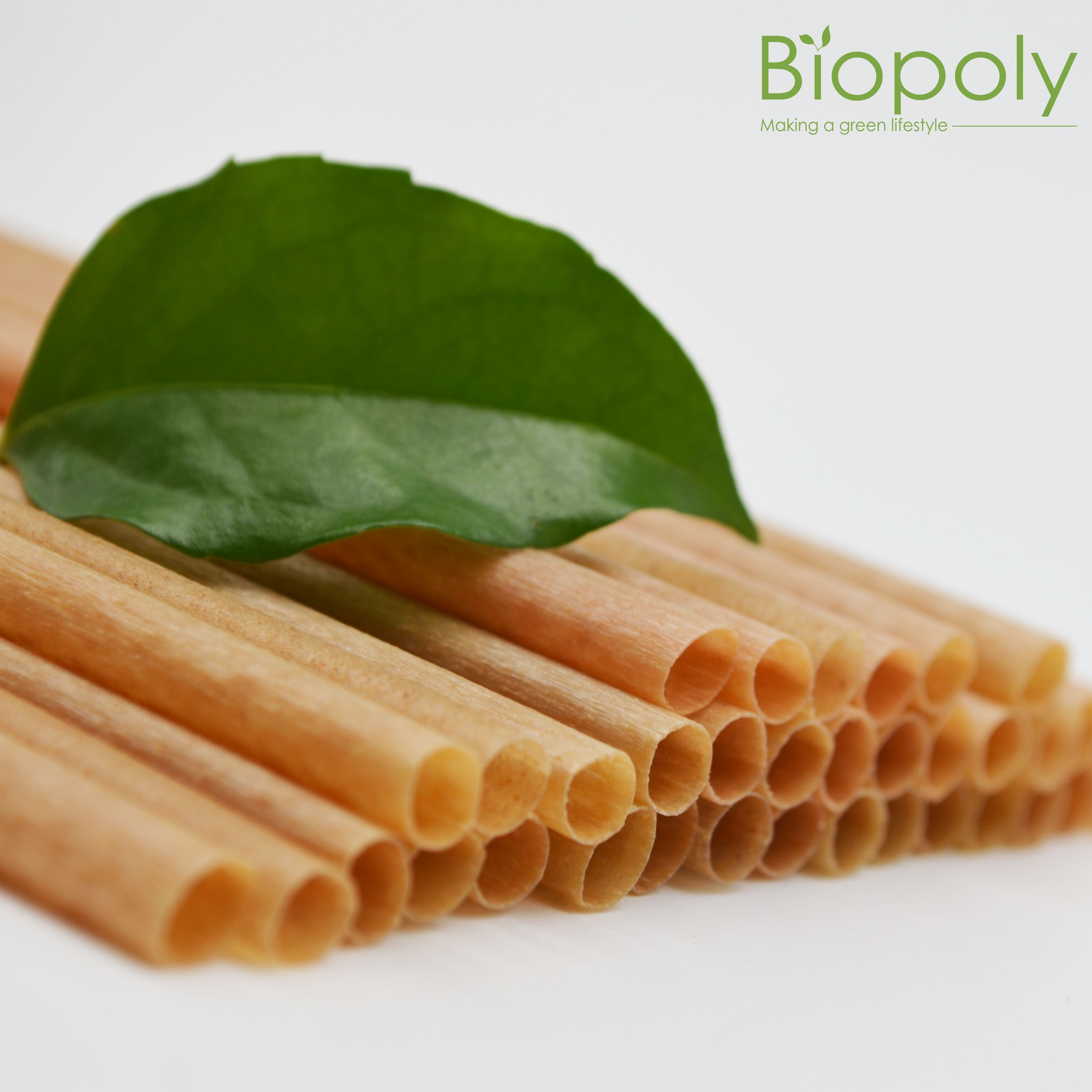 93e1afc75072223f617393feb84f0b1f